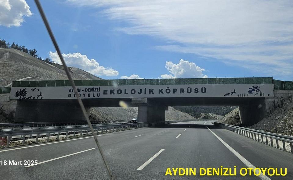 GÜNEY EGE TURİZM KARAYOLU YABAN HAYATINI TEHDİT EDİYOR DOĞASEVERLERDEN, EKOLOJİK KÖPRÜ ÇAĞRISI BAŞKAN SÜRÜCÜ: "YOLUN ALTINDAKİ MENFEZLER, EKOLOJİK ALT GEÇİŞ OLARAK DÜZENLENMELİ"