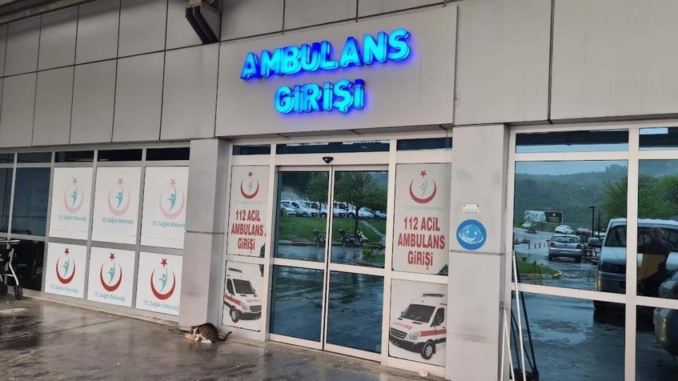Eşek arısı soktu, yoğun bakıma kaldırıldı