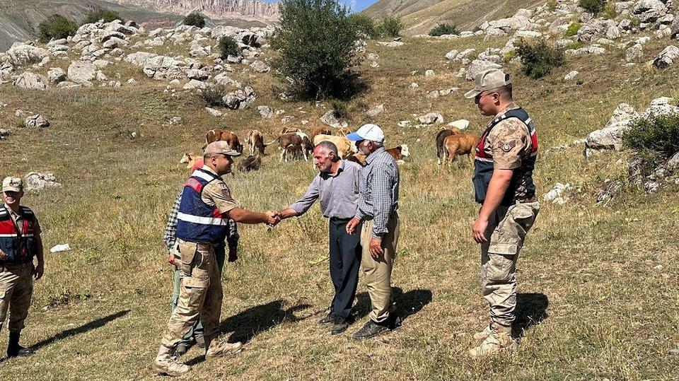 4 gündür kayıp 17 büyükbaş hayvanı jandarma buldu