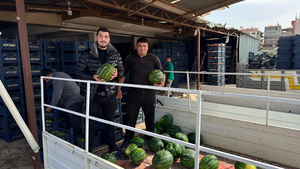 Sezonun ilk karpuz hasadını yaptılar