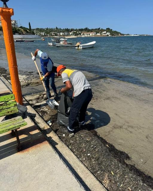 Didim Belediyesi Mavişehir Sahili'ni temizledi
