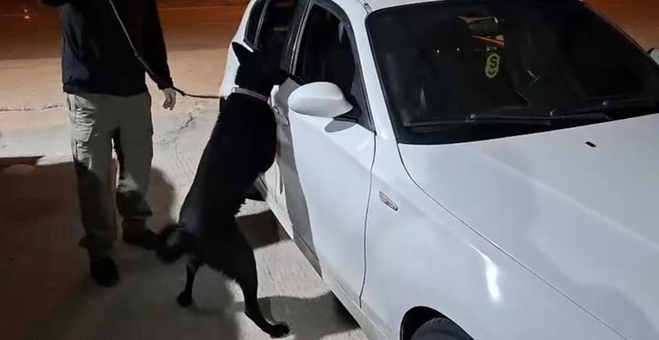 Narkotik köpeği Çakır, yakıt deposuna gizlenen metamfetamini buldu