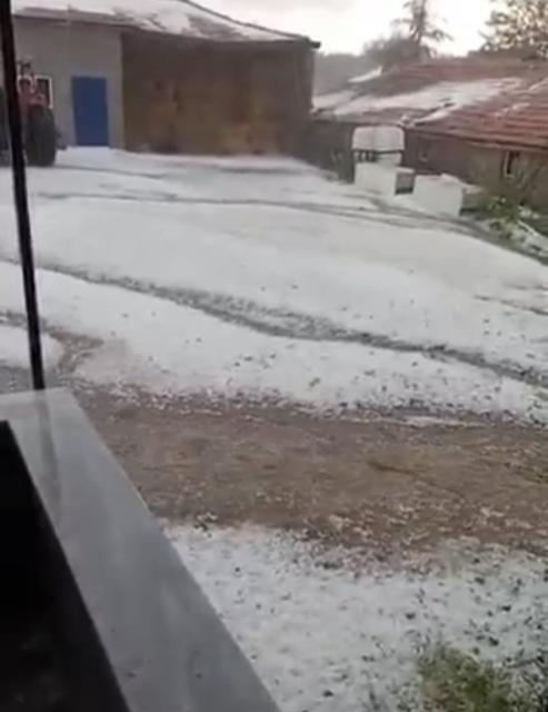 Dolu zarara yol açtı