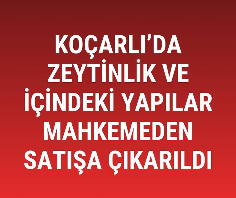 Koçarlı’da zeytinlik ve içindeki yapılar mahkemeden satışa çıkarıldı
