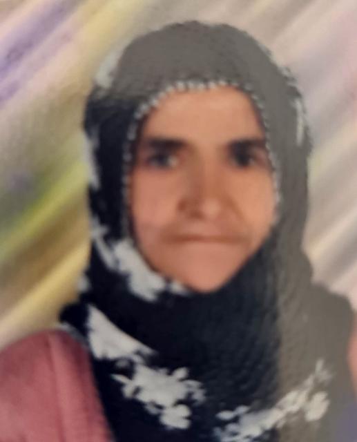 Otomobilin çarptığı yaşlı kadın hayatını kaybetti