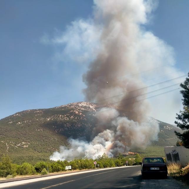 Denizli'de orman yangını