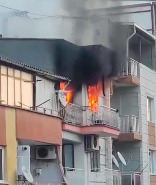 Ev yangınında 6 kedi telef oldu