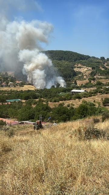 KUYUCAK'TA ZİRAAT ALANINDAKİ YANGIN ORMANA ULAŞMADAN SÖNDÜRÜLDÜ