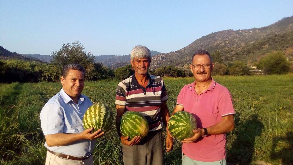 Kisir Karpuzu Tüketici İle Buluşmaya Başladı