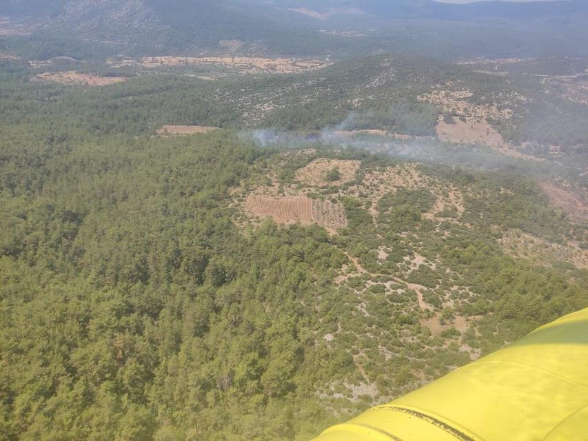 Aydın'ın dibindeki yangında son durum belli oldu