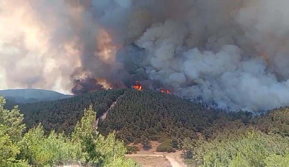 İzmir'de orman yangını