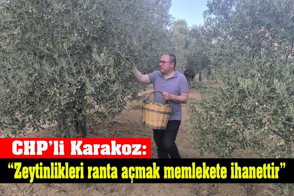 CHP’li Karakoz: “Zeytinlikleri ranta açmak memlekete ihanettir”