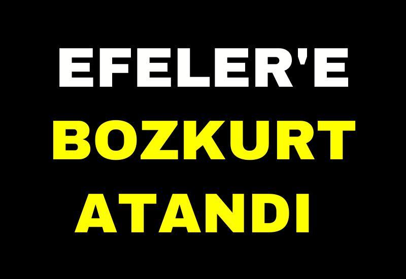 Efeler'e bozkurt atandı