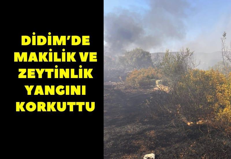Didim’de makilik ve zeytinlik yangını korkuttu