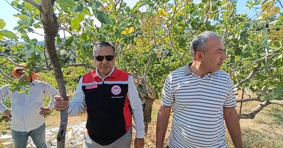 Yenipazar’da festival için geri sayım başladı