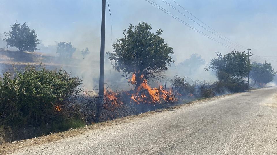 ÇANAKKALE'DEKİ ORMAN YANGININDA KÖYE ULAŞAN ALEVLER KARŞISINDA JANDARMA VE KÖYLÜLER SEFERBER OLDU