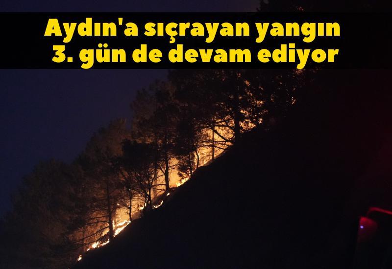 Aydın'a sıçrayan yangın 3. gün de devam ediyor
