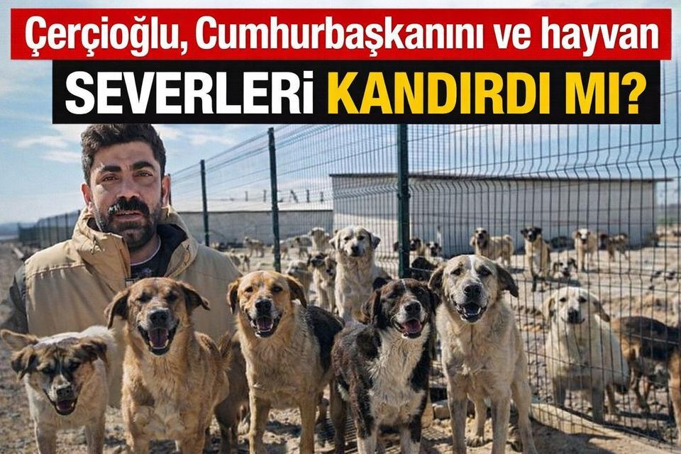 Çerçioğlu, Cumhurbaşkanını ve hayvan severleri kandırdı mı?