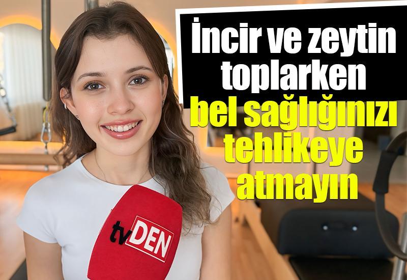 İncir ve zeytin toplarken bel sağlığınızı tehlikeye atmayın