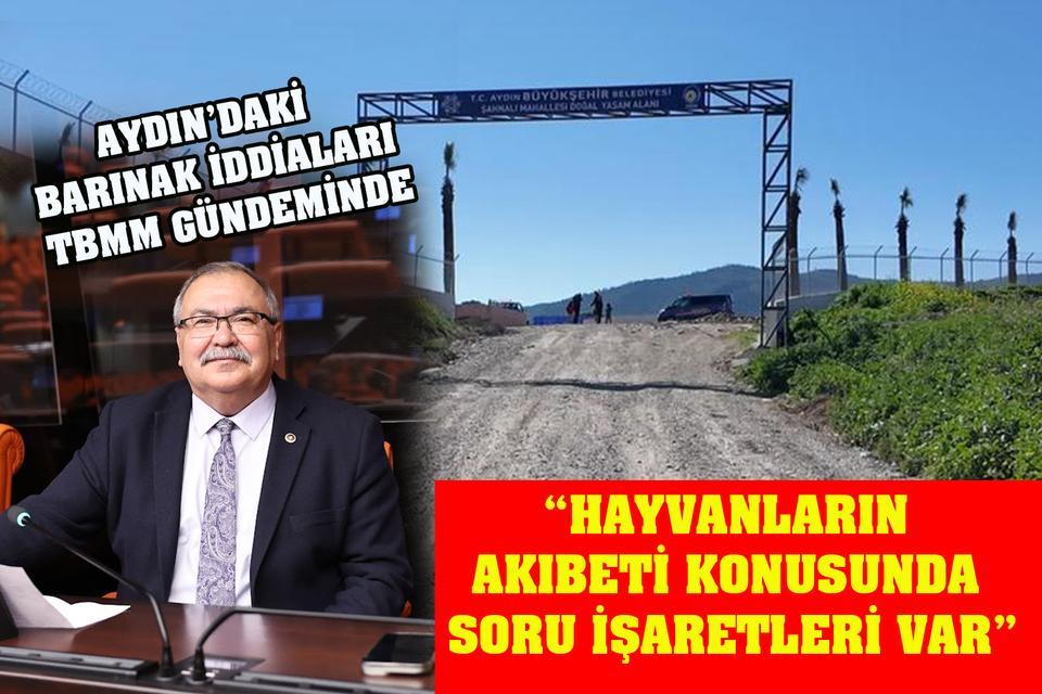 Aydın’daki barınak iddiaları TBMM gündeminde