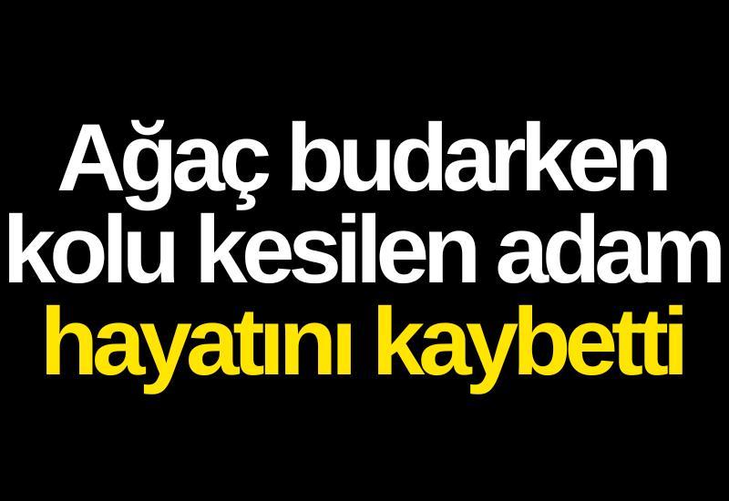 Ağaç budarken kolu kesilen adam hayatını kaybetti