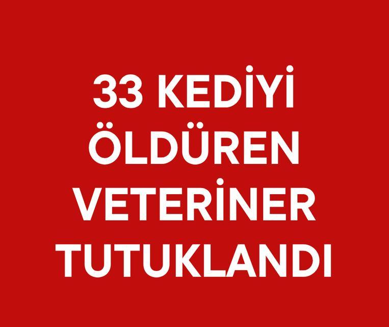 33 kediyi öldüren veteriner tutuklandı