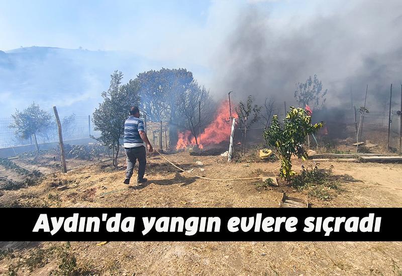 Aydın'da yangın evlere sıçradı