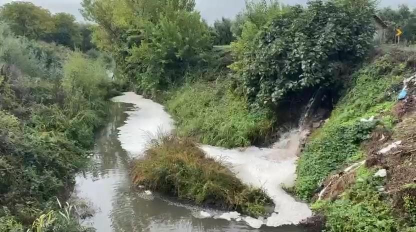 Körfezde Kirlilik Endişesi
