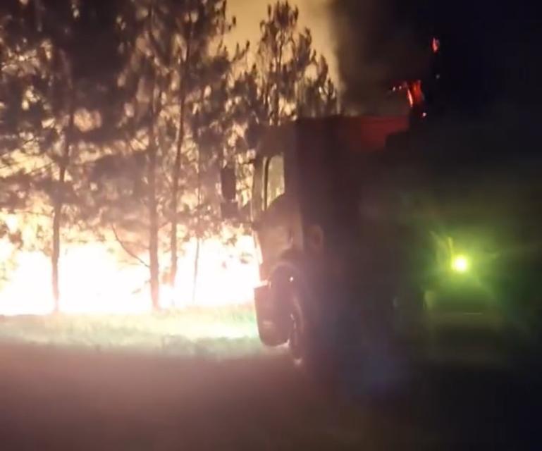 Örtü yangını ormana sıçramadan söndürüldü
