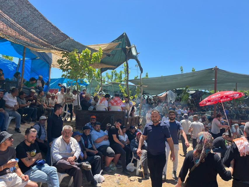 GERMENCİK'TE 63 ÇİFT BOĞA GÜREŞTİ