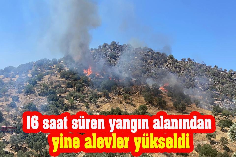 Aydın’da 16 saat süren yangın alanından yine alevler yükseldi