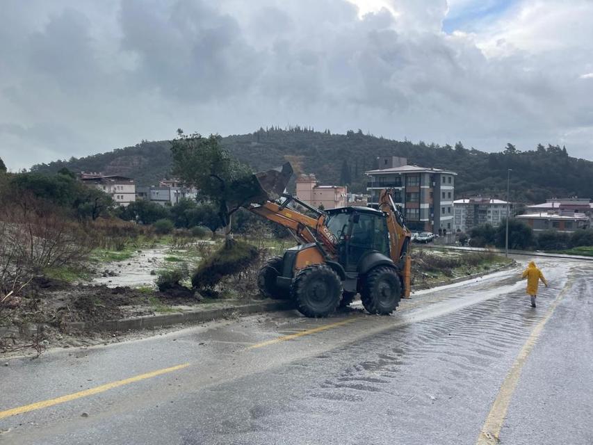 Aydın'da dağdan kopan zeytin ağacı karayolunu ikiye böldü