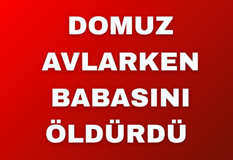Domuz avlarken babasını öldürdü