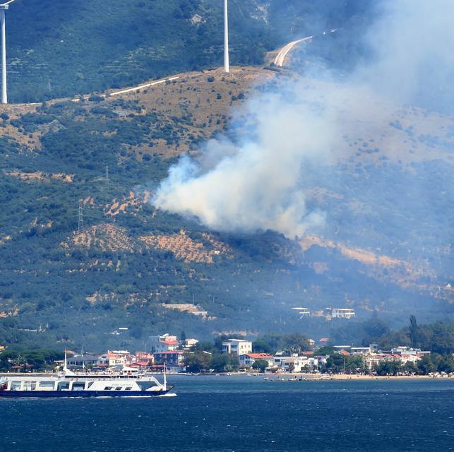 Marmara Adası'nda orman yangını başladı