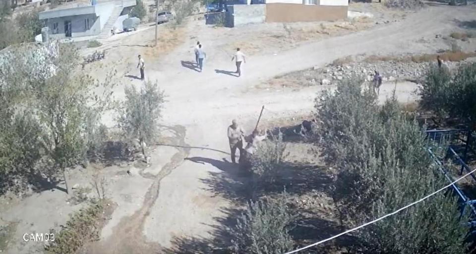 Kafası taşla ezilmek istenen baygın kocasını saldırganlara taş atarak kurtardı