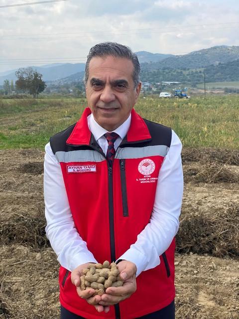 Aydın'da hasat başladı: 3 bin 533 dekar alanla Çine zirvede