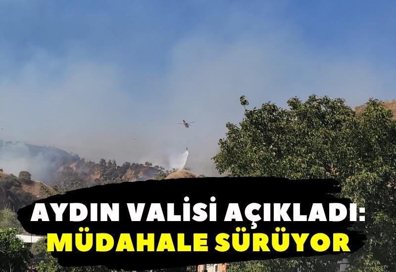 Aydın Valisi açıkladı: Müdahale sürüyor