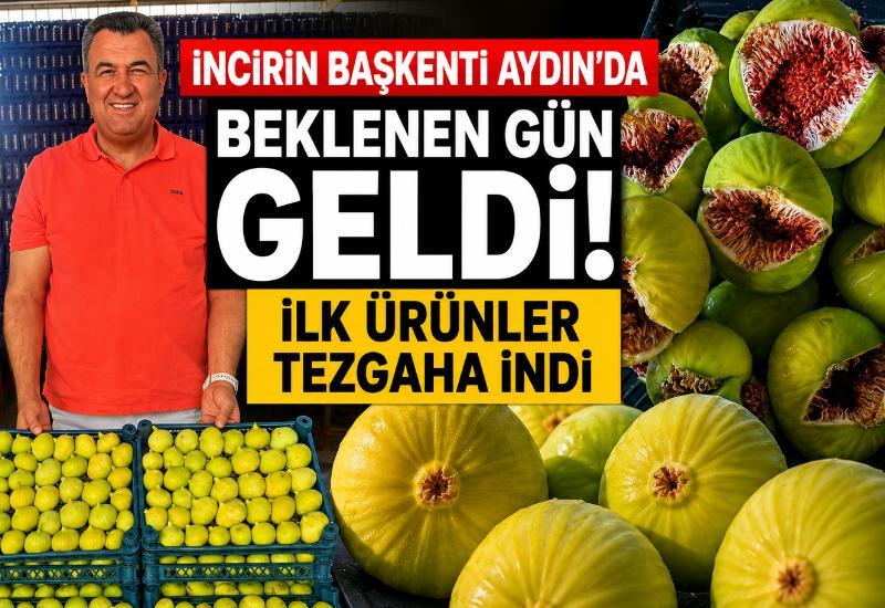 İncirin başkenti Aydın'da beklenen gün geldi! İlk ürünler tezgaha indi