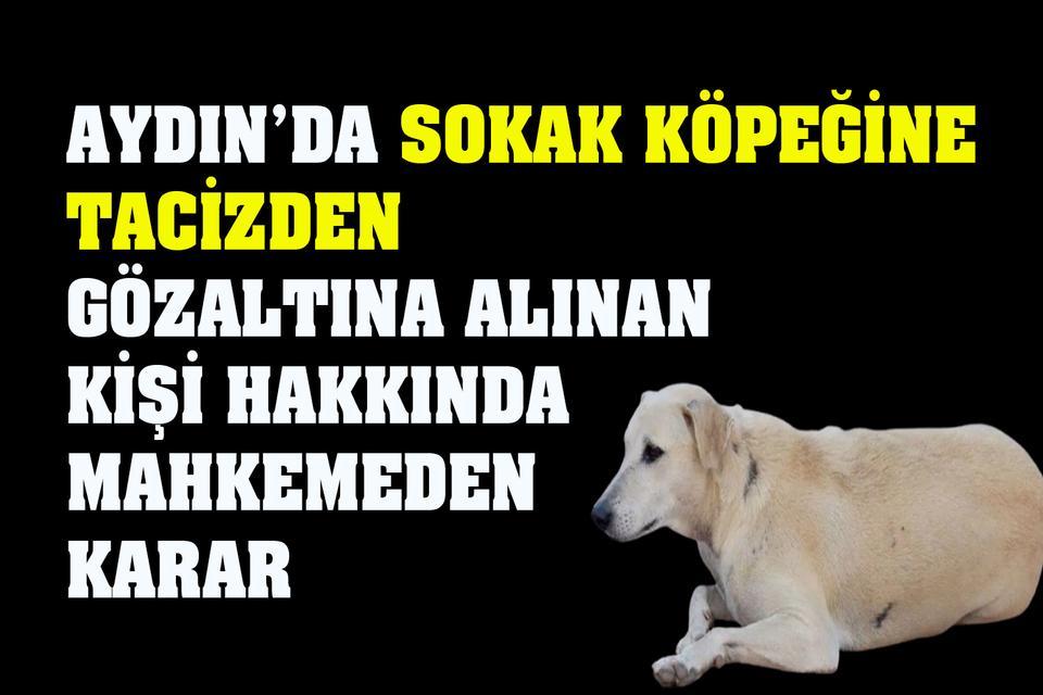 Aydın’da tepki çeken olayda karar verildi