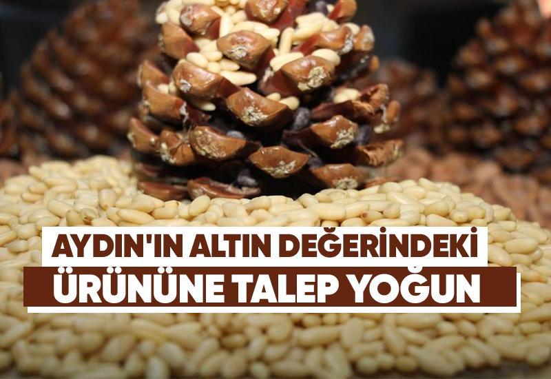 Aydın'ın altın değerindeki ürününe talep yoğun