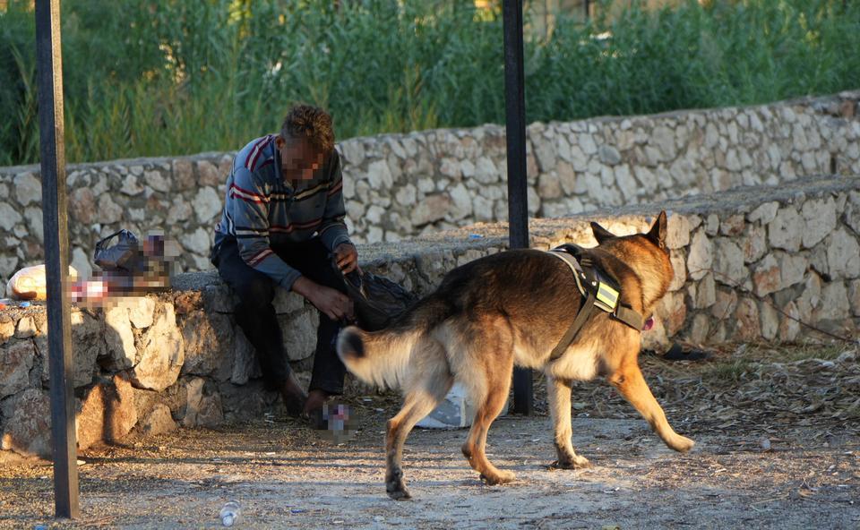 Yanından hiç ayırmadığı köpeği hayatını kurtarıldı