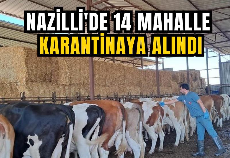 Nazilli'de 14 mahalle karantinaya alındı