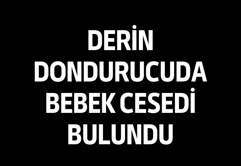 Derin dondurucuda bebek cesedi bulundu