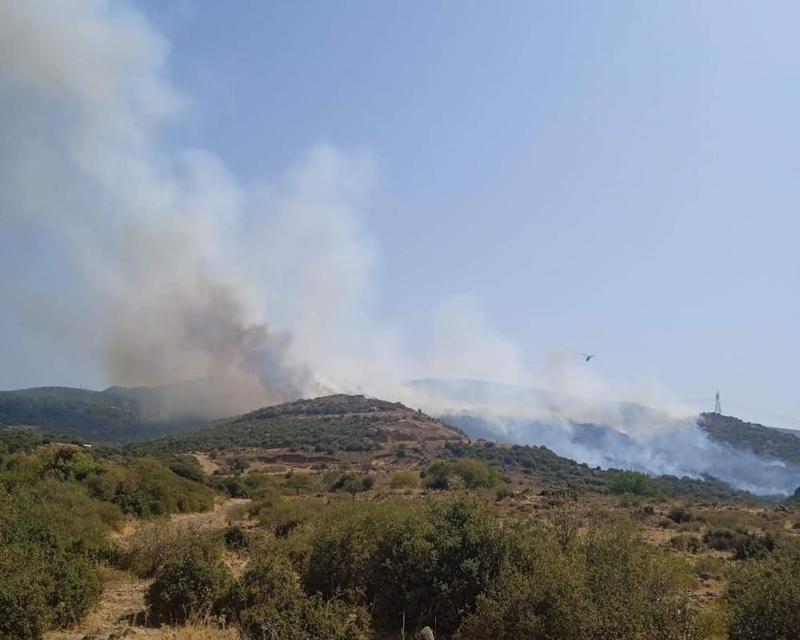 Makilik alanda yangın paniği