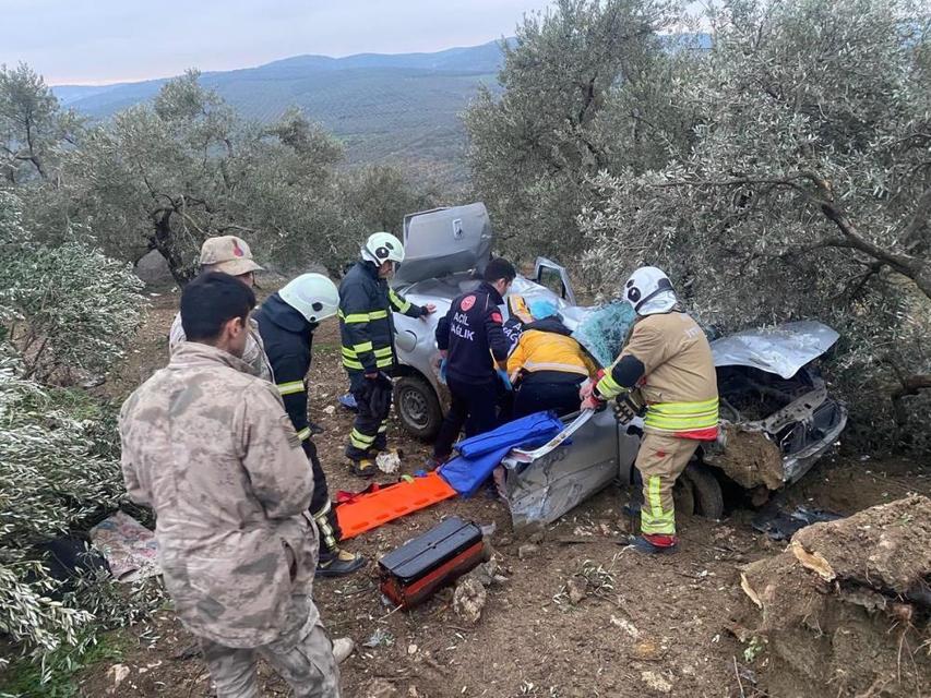 Otomobil zeytinliğe uçtu