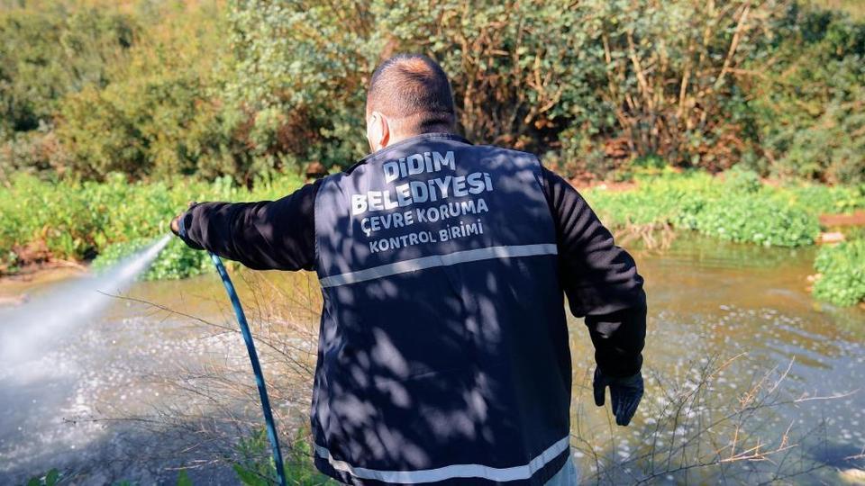 Didim'de vektörle mücadele dört mevsim sürüyor