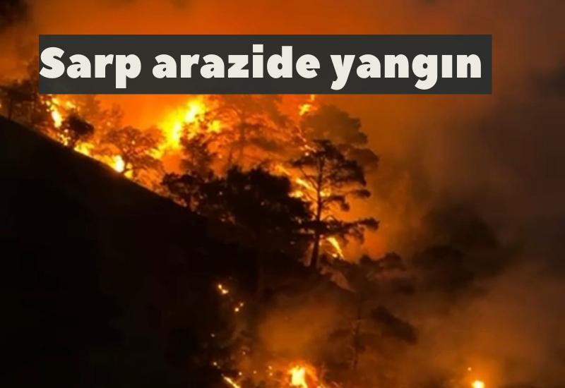 Sarp arazide yangın