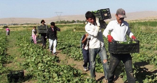 Aydınlı üreticiye 43 milyon avroluk TKDK desteği