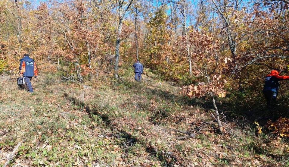 Mantar toplamak için gittiği ormanlık alanda kayboldu