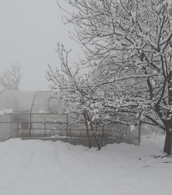 ÇAMELİ'NDE KAR KALINLIĞI 20 SANTİME YAKLAŞTI